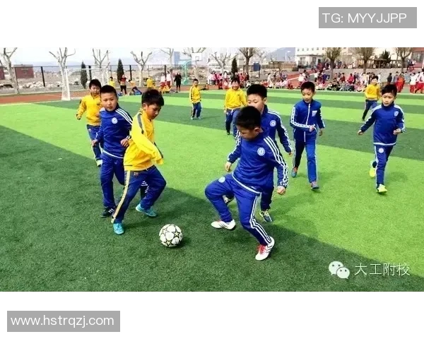 在绿茵场上舞动的诗篇与心灵的激情交融之美